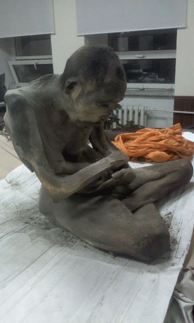 Buddhists: Mummified Monk Is Just in Trance