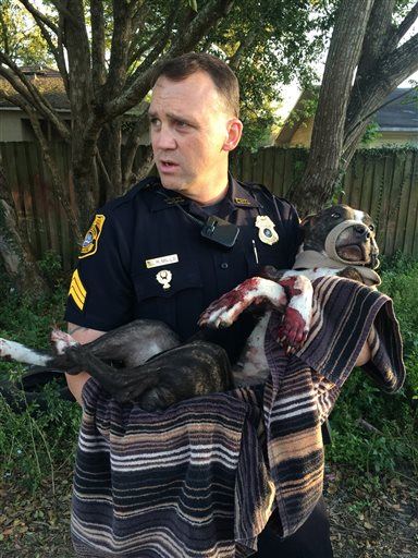 Vets Save Leg of Dog Shot, Tied to Tracks