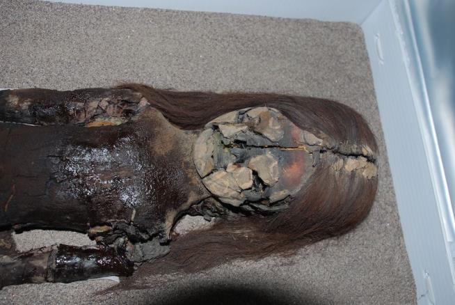 World's Oldest Mummies Are Turning to Jelly