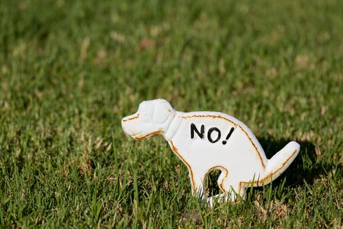 DNA Tests Link Dog Poop to 'Lazy' Owners