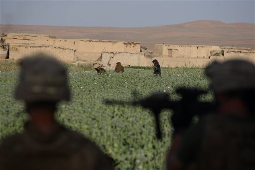 Marines Tread Lightly in Opium Poppy Fields