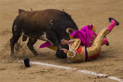 Bullfighter Gored Again, This Time in the Jugular