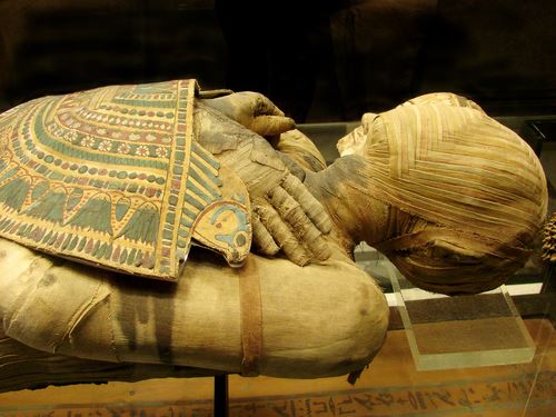 Researchers Mummify a Leg With Ancient Instructions