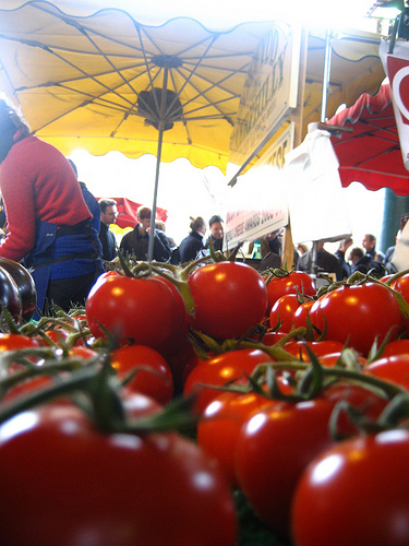 Geneticists Solve Mystery of Giant Tomatoes