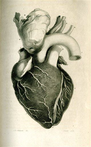 How Old Is Your Heart? Odds Are It's Older Than You