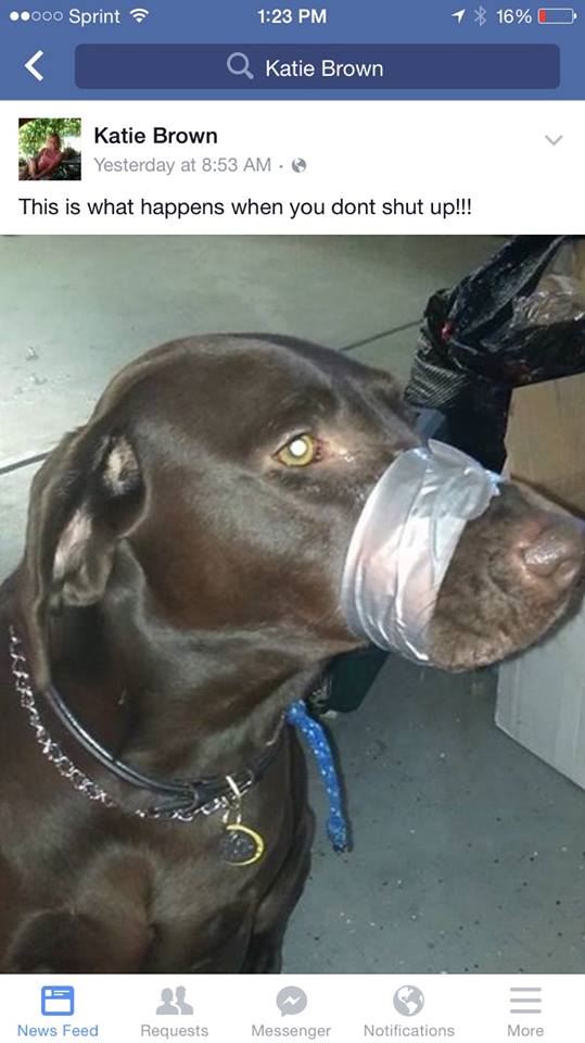 Cops Flooded With Calls About Duct-Taped Dog