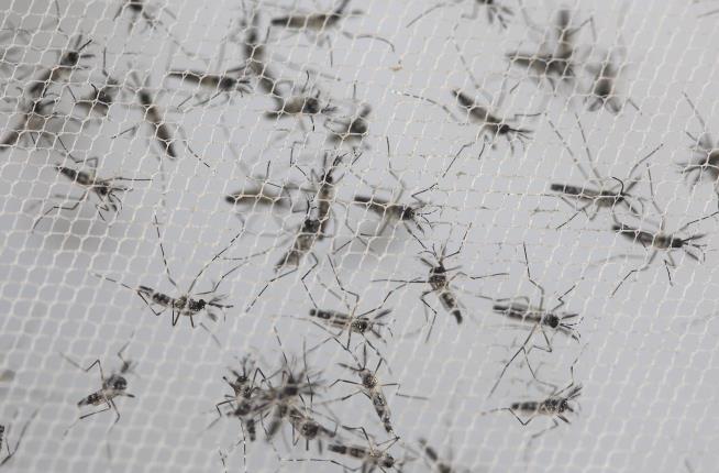 Another Zika Worry: Donated Blood