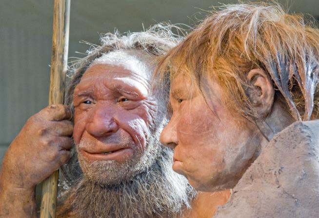 Feeling Kind of Blue? Blame the Neanderthal In You