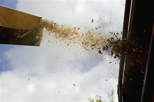 Guy Falls Headfirst Into Wood Chipper, Survives