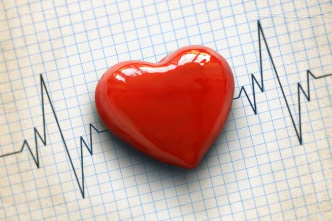 Mom's Insight May Lead to Heart Disease Treatment