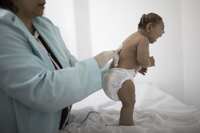 It's Official: Zika Causes Birth Defects