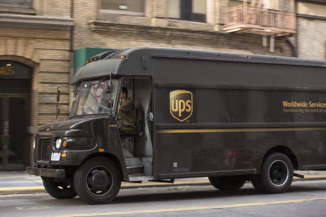 Adventurous Cat Goes Undercover as UPS Package