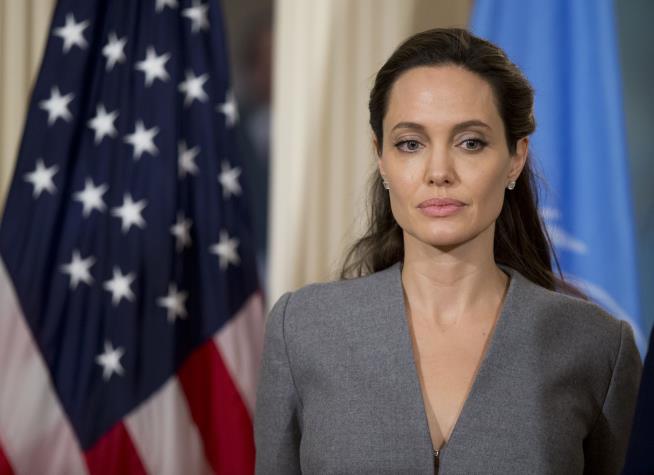 Angelina Jolie to Teach at US University