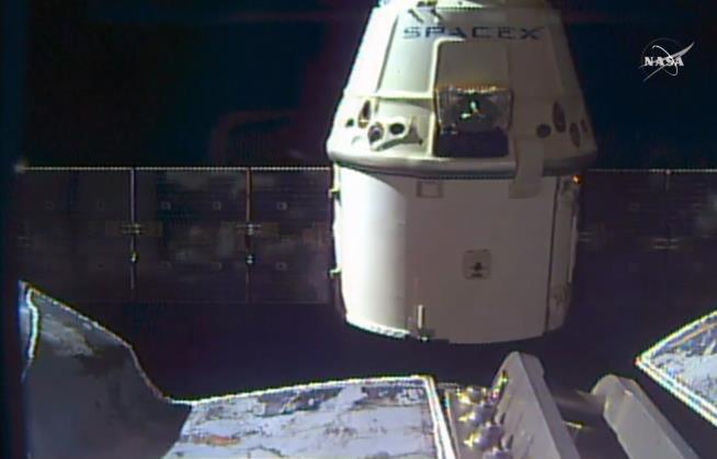 SpaceX Dragon Returns to Earth With 'Gifts'
