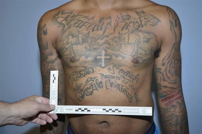 Taboo Tattoo: 5 Craziest Crimes of the Week