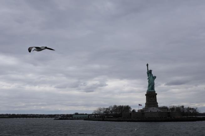 'Rare' Whale Spotted Near Statue of Liberty