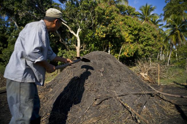 Artisanal Charcoal to Become 1st Cuban Export to US