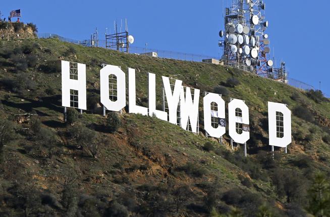 'Hollyweed' Prankster Gives Himself Up