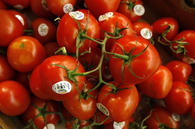Scientists Know How to Make Tomatoes Taste Tomato-y Again
