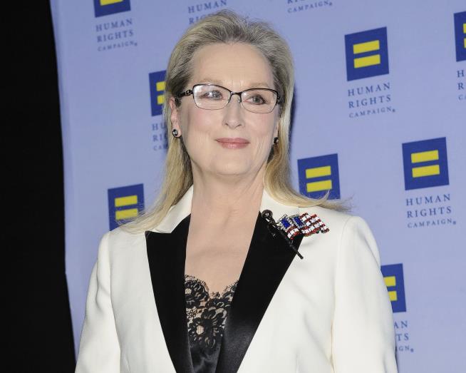 Streep Again Rips Trump, 'Brownshirts'
