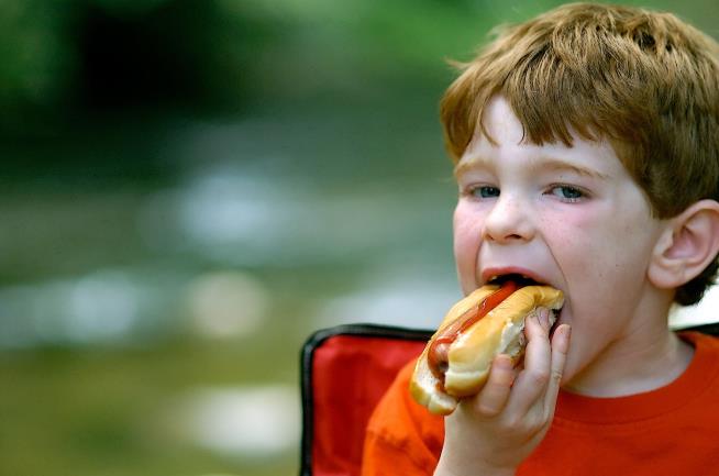 Boy Goes Into Cardiac Arrest After Biting Into Hot Dog