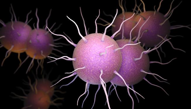Officials Say Man Has 'Worst Ever' Case of Gonorrhea