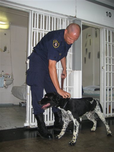 Dogs Fetch Contraband Cell Phones in Jails
