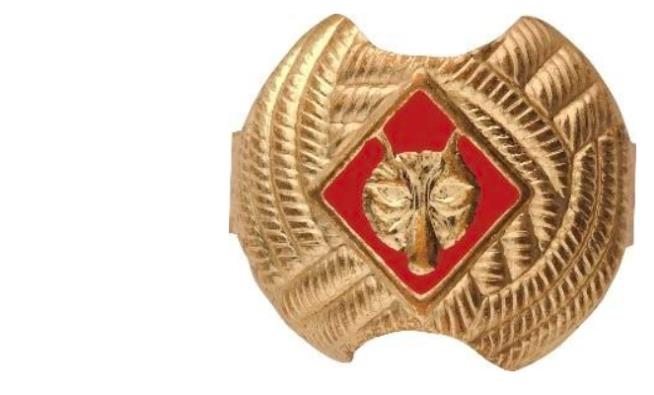 Boy Scouts Issue Recall Over Lead