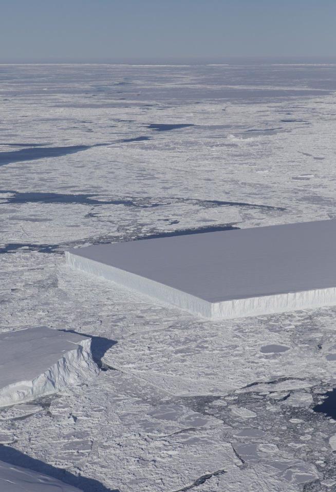 Fresh Iceberg Looks Strangely Rectangular