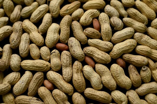 Drug a 'Good First Step' for Kids With Peanut Allergies