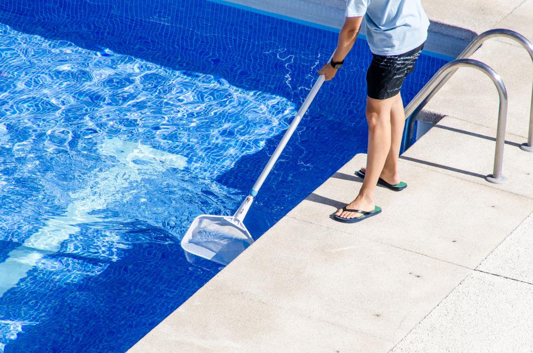 Illnesses Caused by Giardia, Crypto Parasites on Rise in Swimming Pools: CDC - Newser thumbnail