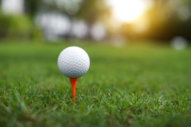 Girl, 6, Killed by Father's Golf Ball