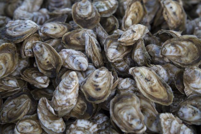 Common Advice on Oysters Goes Back a Long, Long Time