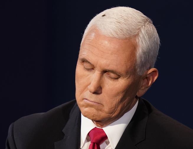Pence: I Didn't Know the Fly Was There