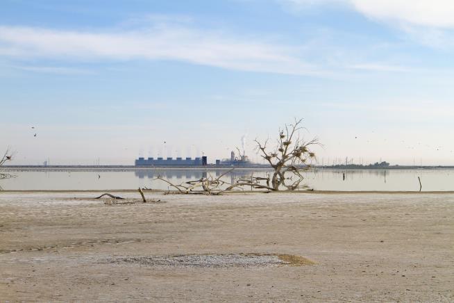 At Shrinking Salton Sea, Even Breathing Is Hazardous