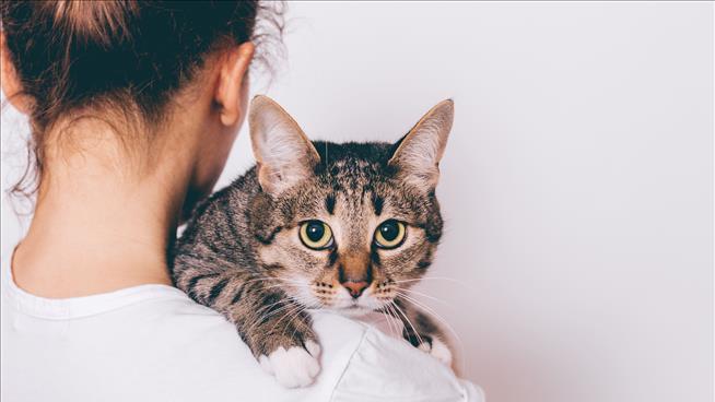 Cats May Have a More 'Profound Mind' Than We Thought