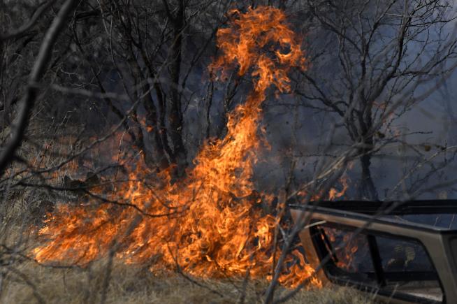 One Dead, 50 Homes Destroyed in Texas Wildfires