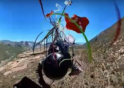 Ever Wonder What Could Go Wrong While Paragliding?
