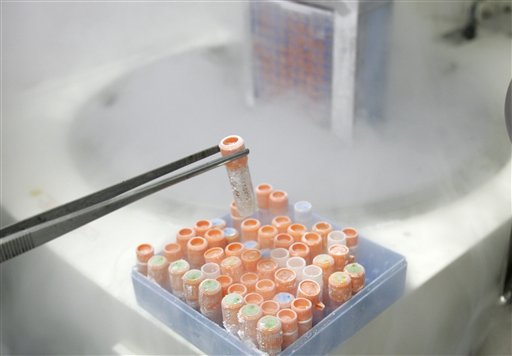 Scientists Explore Testicular Stem Cell Alternative