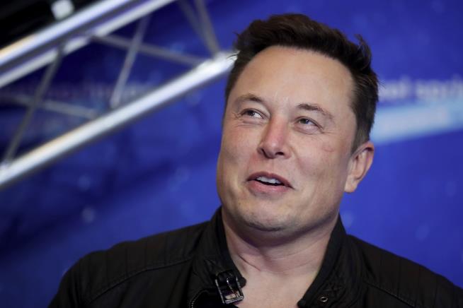 Musk to Staff as Tesla Stock Tanks: 'Don't Be Too Bothered'