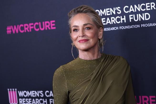Sharon Stone: I Lost Half My Money to 'This Banking Thing'