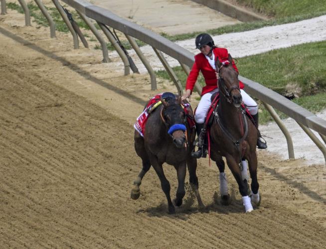 3-Year-Old Colt Euthanized on Track Before Preakness