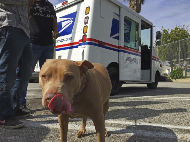Good Dogs Can Have Bad Days: Postal Service