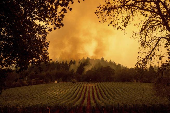 California Winemakers Doubling Up as Firefighters