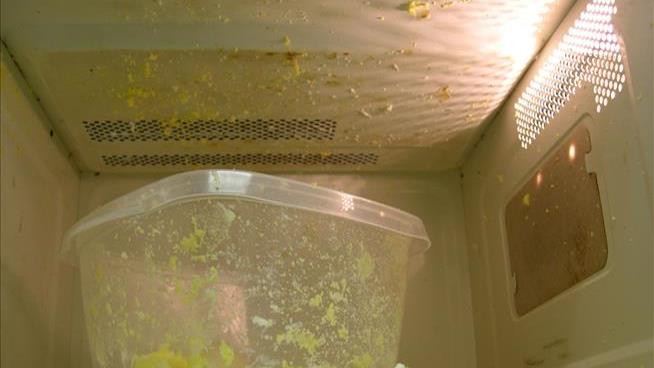 Researchers Warn About Microwaving Plastic