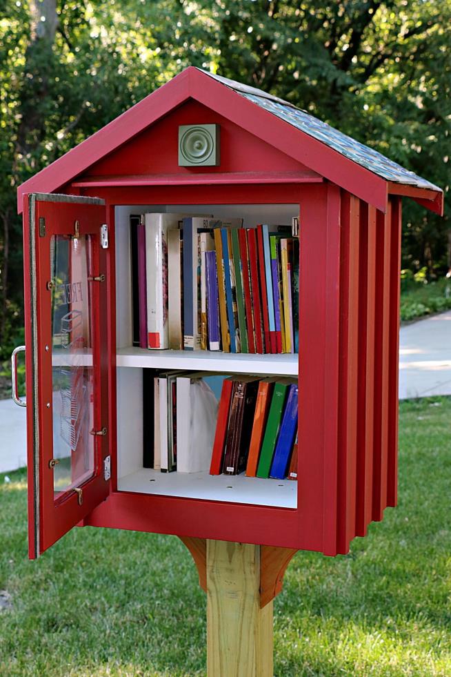 Lawmaker's Wife Accused of Targeting Little Free Libraries