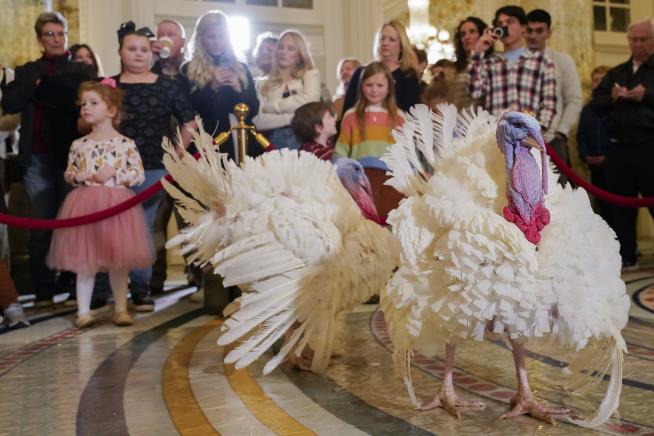 Inside the Strange History of Pardoning Turkeys