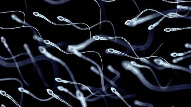 Court: Wife, 62, Can Have Dead Man's Sperm Harvested