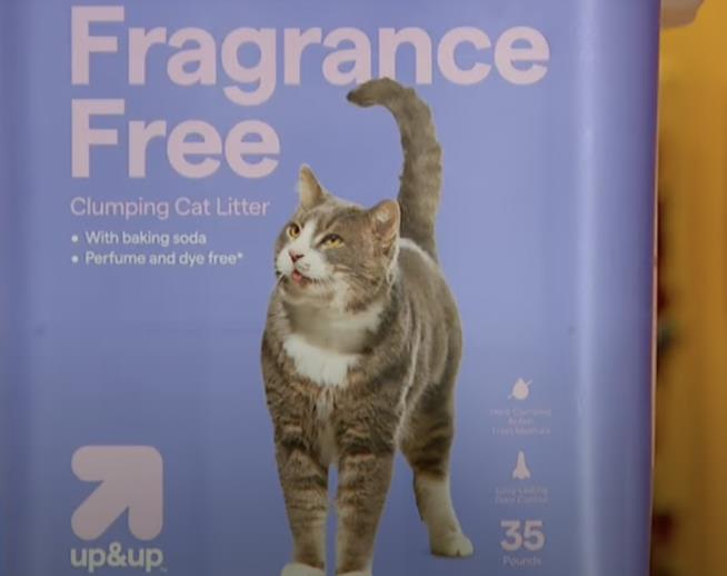 Cat Saved From Hot Car Is Now Modeling for Target