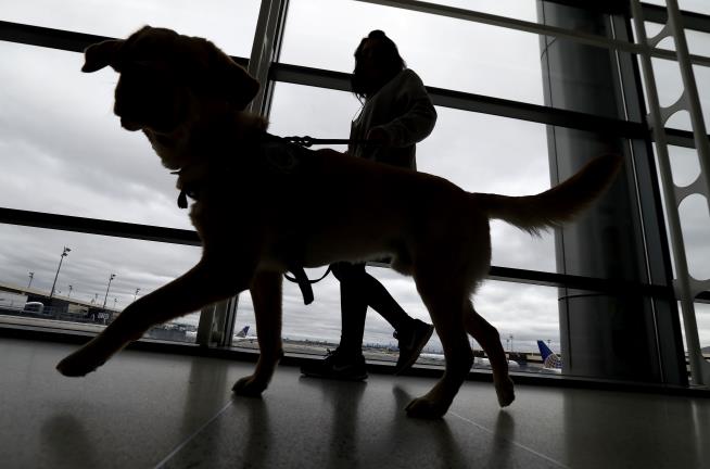 It's Now a Bit Tougher for Dogs to Come to the US